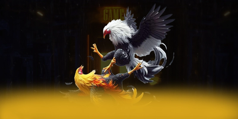 Nhận xét từ game thủ về BET168 Nhận xét từ game thủ về BET168